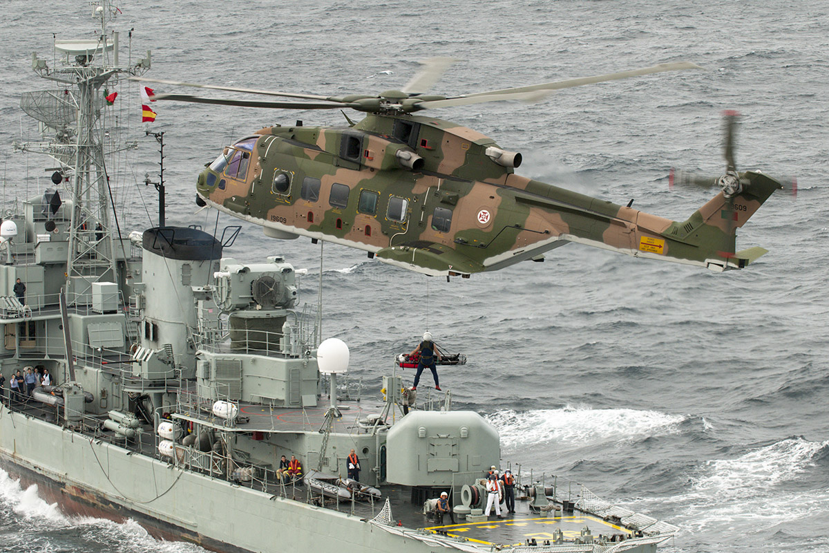 INTRO5-Merlin_DSC3864.jpg
